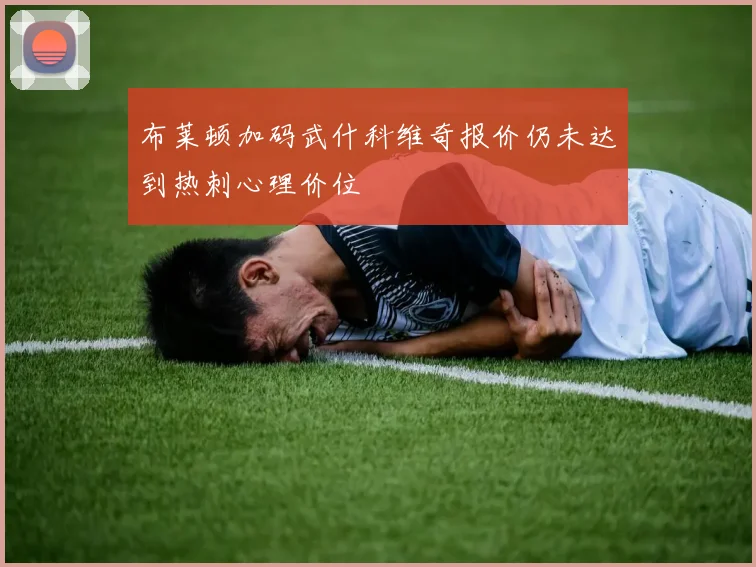 布莱顿加码武什科维奇报价仍未达到热刺心理价位