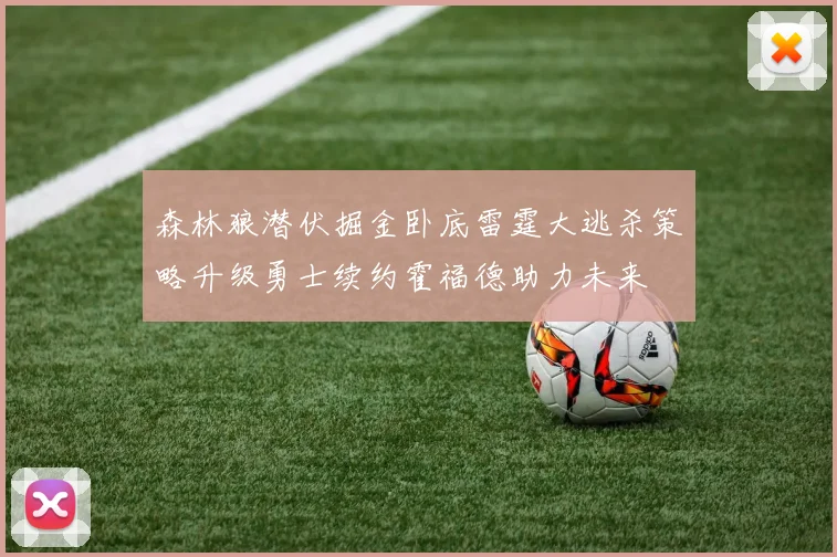 森林狼潜伏掘金卧底雷霆大逃杀策略升级勇士续约霍福德助力未来