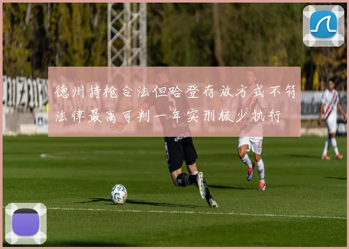 德州持枪合法但哈登存放方式不符法律最高可判一年实刑极少执行